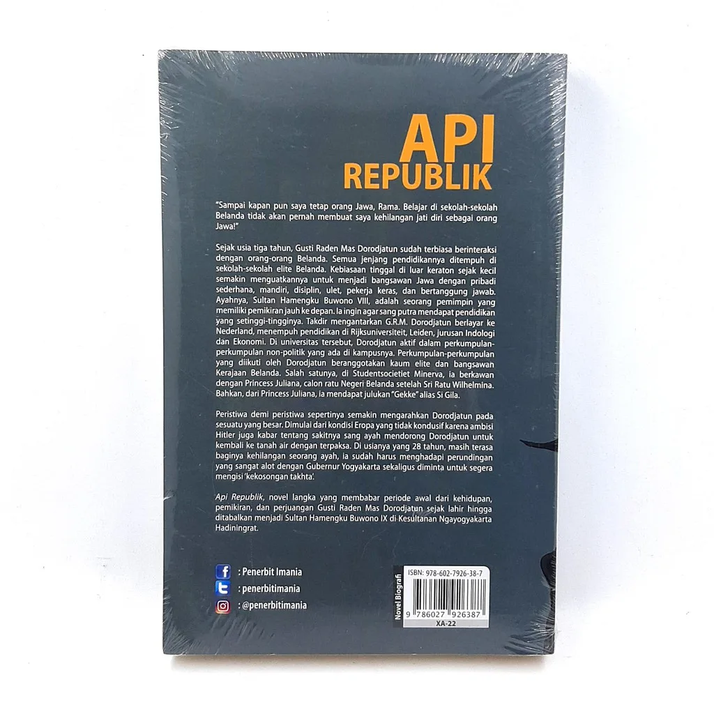 Api Republik Novel Biografi Hamengku Buwono IX Buku 1- Haidar Musyafa